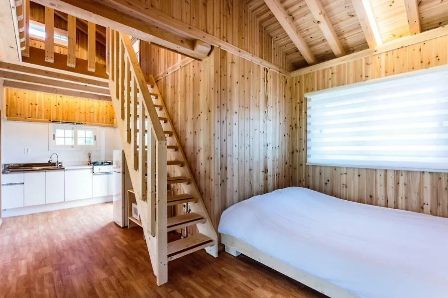 Seogwipo Neulbada Pet Pension Jeju South Korea